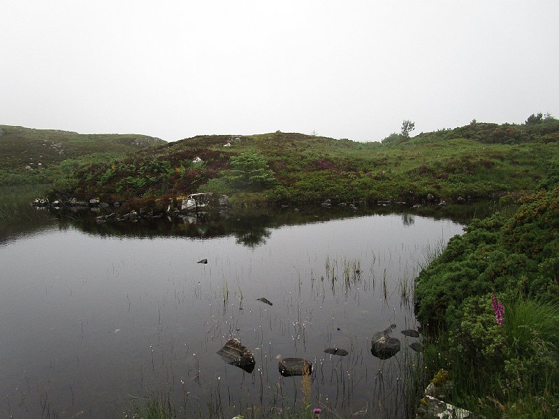 2018.07.09 Nordost und Nordkueste (1911).JPG